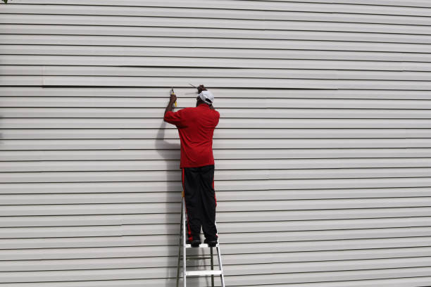 Best Stucco Siding  in Fortuna Foothills, AZ